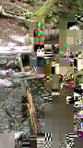 Watch the crystal clear waters of Mingus Creek powering the Mill! ⛰️ Located in the Great Smoky Mountains National Park, this 134-year-old turbine mill is still fully operational. Don't miss it on your next trip. Learn more here: https://jax.onl/ExploreTheMill | North Carolina Mountain Towns of Cashiers, Cherokee, Dillsboro, and Sylva