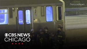 Person on tracks halts CTA Red Line service on Chicago's South Side