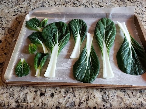 Freezing Pak Choi (aka Bok Choy) it will keep for 6 to 8 months.