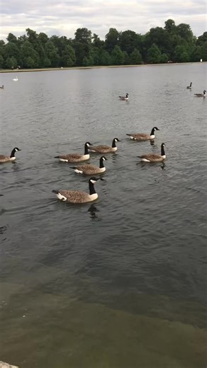 ‏# وسط الطبيعة