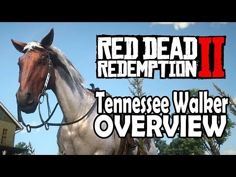 Red Dead Redemption 2 Horses - Tennessee Walker Overview