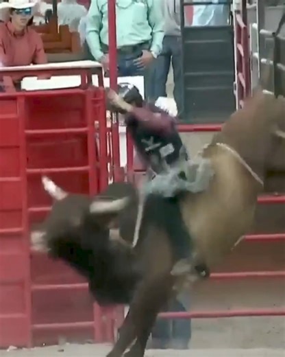 What a day for the rookie! Wacey Schalla wins the bareback riding AND bull riding in his debut at Cheyenne Frontier Days! | CowboyChannel