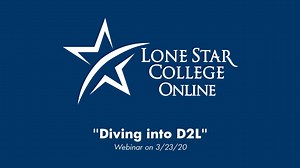 Diving into D2L (First Session)