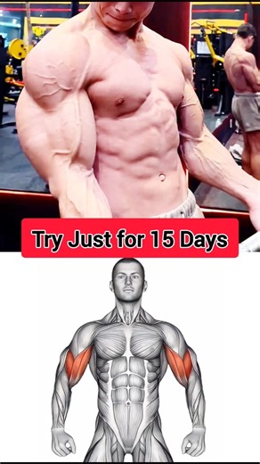 5 Explosive Biceps Workouts to Build Arms Like Steel 💪 | Ultimate 15-Day Challenge 📜 Description: If you want arms that scream power and veins that pop like steel cables — this video is for you! 💥 In just 15 days, these 5 killer biceps exercises will transform your arms into rock-solid muscle. Do them daily, feel the burn, and watch your strength explode! Let’s build those mountain-sized biceps together 💪🔥 Exercises Covered: 1️⃣ Dumbbell Biceps Curl 2️⃣ Concentration Curl 3️⃣ Reverse Biceps