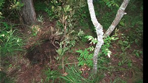 1.3K views · 27 reactions | The Oklahoma County Sheriff's Office Cold Case Task Force is releasing new details in the 25-year old murder of Edward Trotter. If you have any information, please call (405) 869-2522 and help give his family some peace. | Oklahoma County Sheriff's Office | Facebook