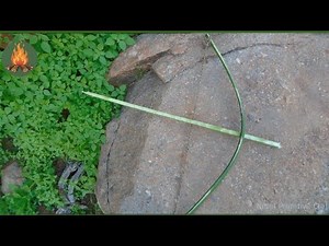 Making a Bow and Arrow in the Wild | Primitive Technology