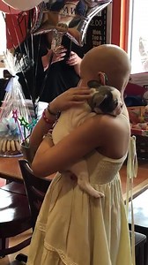 4M views · 340K reactions | ❤️ WARNING: Cuteness overload! ❤️ Zoey, an 11-year-old with cancer, wished to have her very own French bulldog puppy.  She has been excitedly waiting to meet her precious “Snowflake” for weeks, and yesterday Zoey was surprised with her cuddly new pup! Watch this video to see her paw-some reaction. ✨ #WishWednesday | Make-A-Wish Southern Florida | Facebook