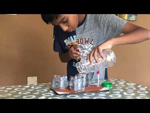 Electrochemical Cell - science project for school