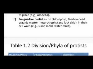 Grade 10 Biology, Chapter 1, 1.3.2 Kingdom Protista