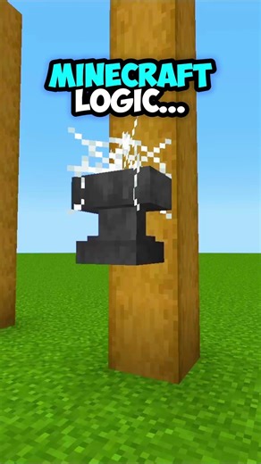Minecraft Logic Be Wilding 💀 #shorts #minecraft