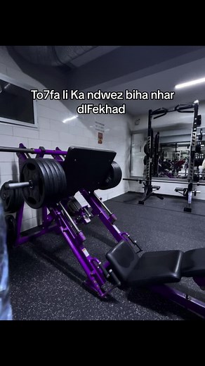 Discover the Finest Algerian Songs for Every Mood