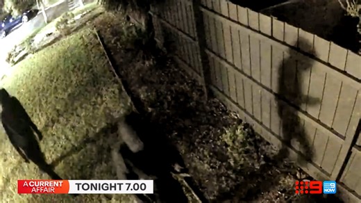 548K views · 1.8K reactions | Broken into not once, not twice, but five times - this family is living in terror in their own home. See the full story TONIGHT on Channel 9 and 9Now. #9ACA | A Current Affair | Facebook