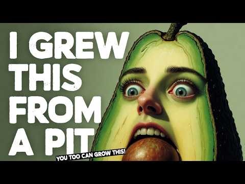 Grow Avocado at Home: Complete A to Z Guide