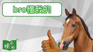 【梗百科】Bro懂我的XX是啥梗？