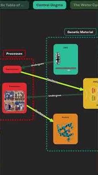 What is The Wizard? | Redstring