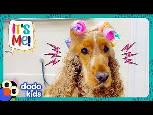 Let's Give This Pup's Hair A Makeover! | Dodo Kids | It's Me!