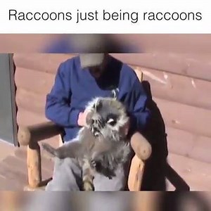 1.2K views · 19 reactions | #adorable (hug) (y) | Funny Adorable Amazing Awesome Shocking Videos | Facebook