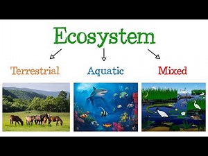 🦁 Ecosystems and their types 🌿 [Fast and Easy] | BIOLOGY |