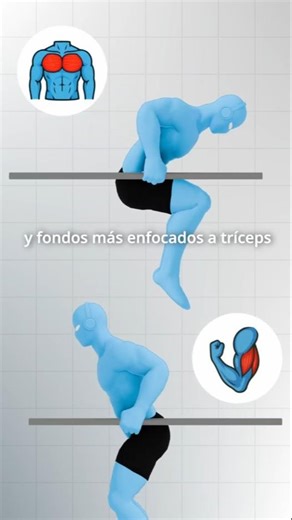 Chest or Triceps Funds