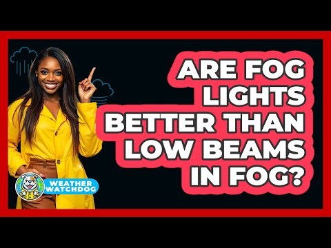 Are Fog Lights Better Than Low Beams in Fog?
