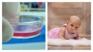 Scientists Found a Way to Stop Aging in Human Cells