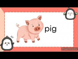 Letter Pp | Letter Sounds | Alphabet | Phonics | Read and Learn Words that Start with Pp