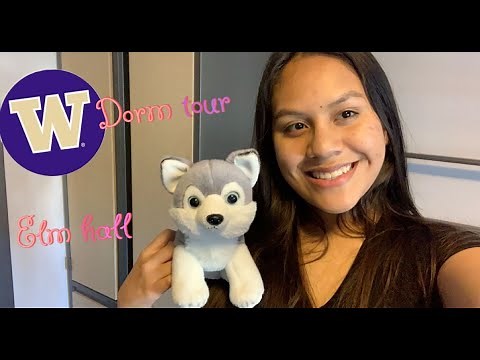 UW Dorm Tour 2021 - Elm Hall