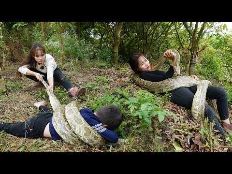 72 Hours Hunting a Giant Python - Rescue of a Child While Harvesting Cabbage for the Village Market!