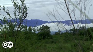 A successful reforestation project for western Uganda