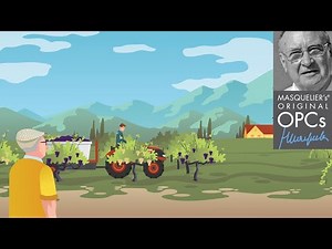 Complex Phytonutrient Authentication (CPA) and MASQUELIER’s® Original OPCs