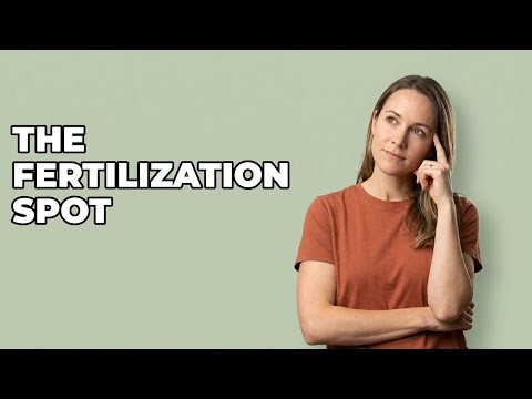 Where Do Sperm And Egg Meet For Conception?