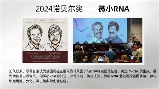 疾病诊断和治疗的“明星分子”——microRNA