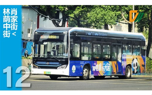 【截后余生】成都公交12路→林荫中街 全程第一视角POV