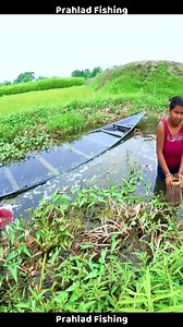 Very Amazing Fishing Techniques by Women - Incredible Fish Trap in the Village Nice Place (10) | Prahlad Fishing
