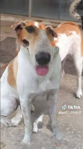 聊天也能办公？WhatsApp网页版功能超乎你想象www.hdpjng.com