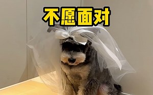 我也是你们play的一部分吗？