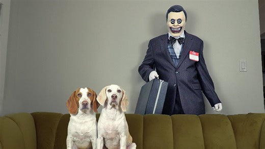 Dogs confront zombie salesman and sniff every creepy corner