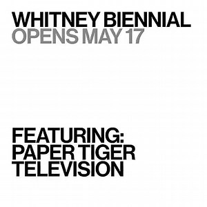 ⚡⚡ @whitneymuseum | BLITZ the AMBASSADOR | Facebook