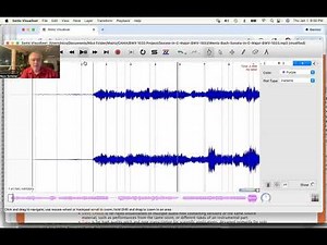 Setting and Correcting Note Onsets in Sonic Visualiser