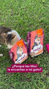 Croquetas Mixi- nutrición completa y balanceada para el sano desarrollo de tu gato🐈 | Mixi