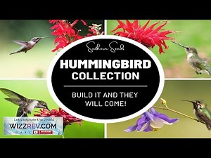 Hummingbird Garden Seed Collection 10 Varieties: Create a haven for hummingbir