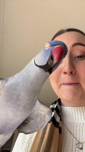 Hilarious Funny Voice Filter TikTok Compilation