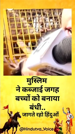 sukoon on Instagram: "The human eye is a specialized, sensory organ responsible for vision, enabling us to perceive and interpret the world visually by capturing and processing light into images. *Function: The primary function of the human eye is to detect light and convert it into electrical signals that the brain interprets as images. *Structure: +The eye is a complex organ with several key parts: +Cornea: The clear, outer layer that helps focus light. +Iris: The colored part of the eye that 