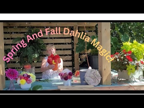 Dahlia Delight! How to Build Beautiful Bouquets No Foam Needed
