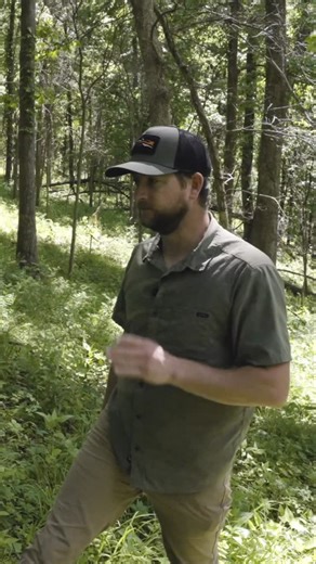 Land & Legacy | If you’re doing some Timber Stand Improvement this winter remember, it’s not always about save the oaks and kill everything else. Manage... | Instagram