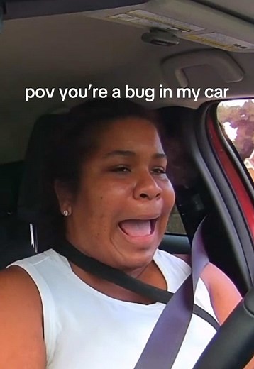 Dashcam Reactions: Bugs in My Car