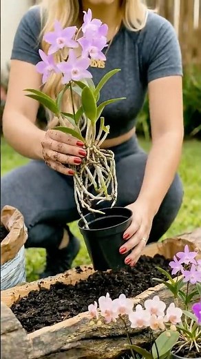 Rustic Hanging Planter Idea for a Cozy Backyard 🌷🌹🌿