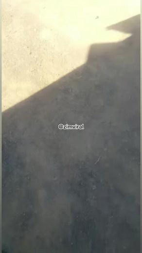 161K views · 1.5K reactions | New car design called “Humba” invented in Zimbabwe  | ZimViral | Facebook