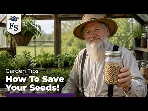 Stop Buying Seeds! The Amish Method for Saving Seeds