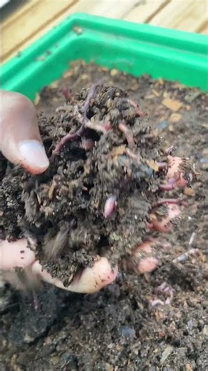 Do something unusual this Saturday! Come play with earthworms and learn how to make vermicompost